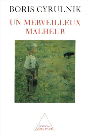 la résilience def